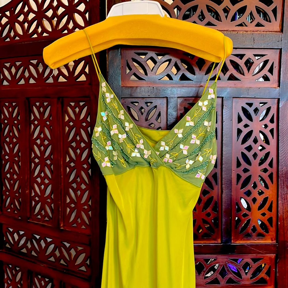 Beautiful silk dress!